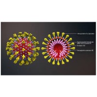 Guvernul a aprobat noile restrictii menite sa limiteze cel de-al 5-lea val 