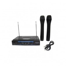 Set doua microfoane profesionale wireless