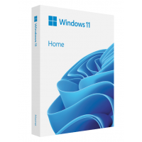 Win home fpp 11 64-bit eng intl usb