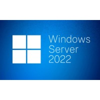 Sw oem win svr 2022 std eng 64b 1pk 16cr p73-08328 ms 